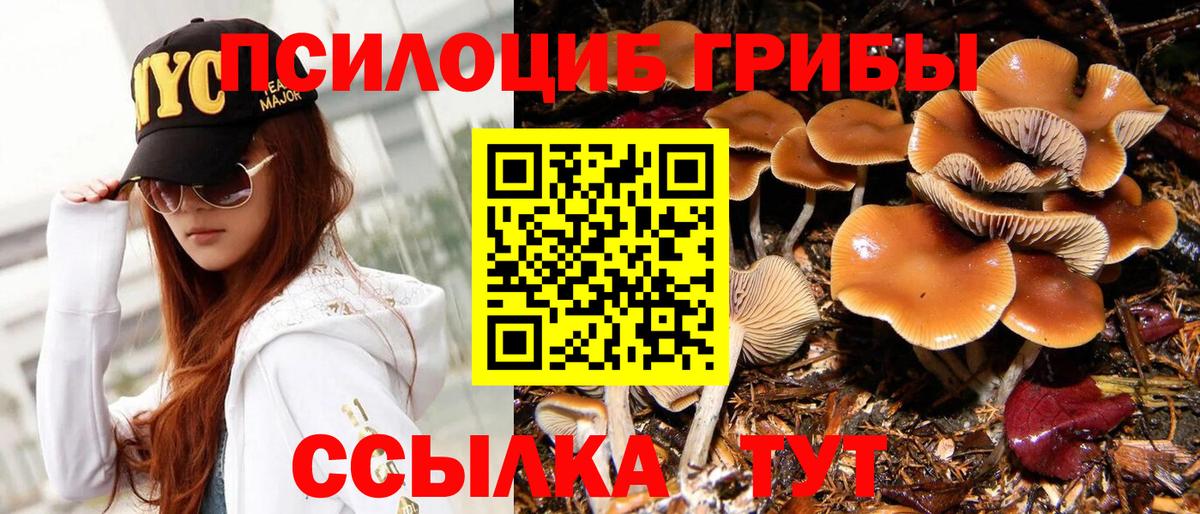 Галлюциногенные грибы мицелий Донской